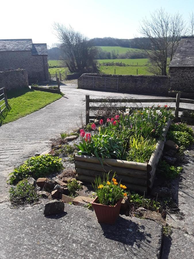 Sharlands Farm Bed And Breakfast Bude Exterior photo
